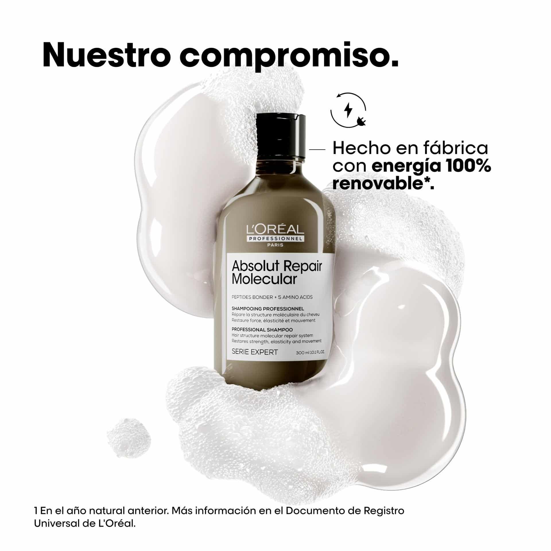 Champú Absolut Repair Molecular 300 ml