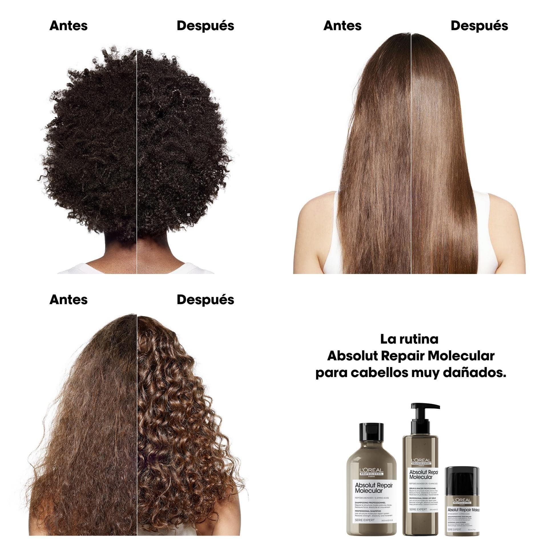 Champú Absolut Repair Molecular 300 ml