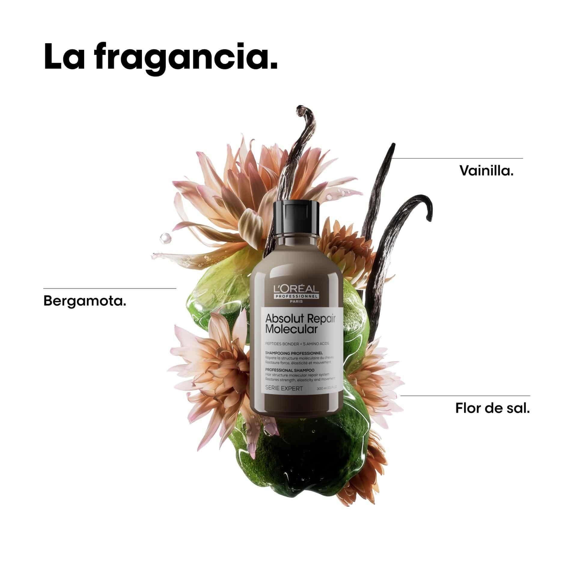 Champú Absolut Repair Molecular 300 ml