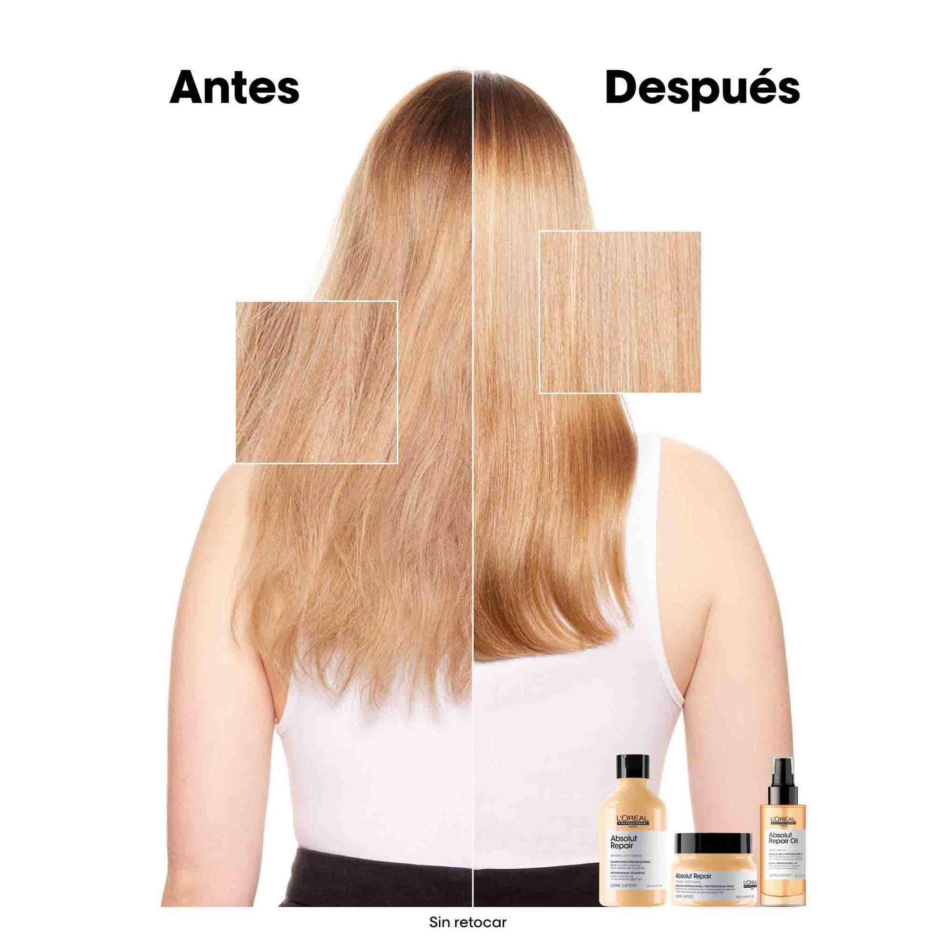Champú Absolut Repair