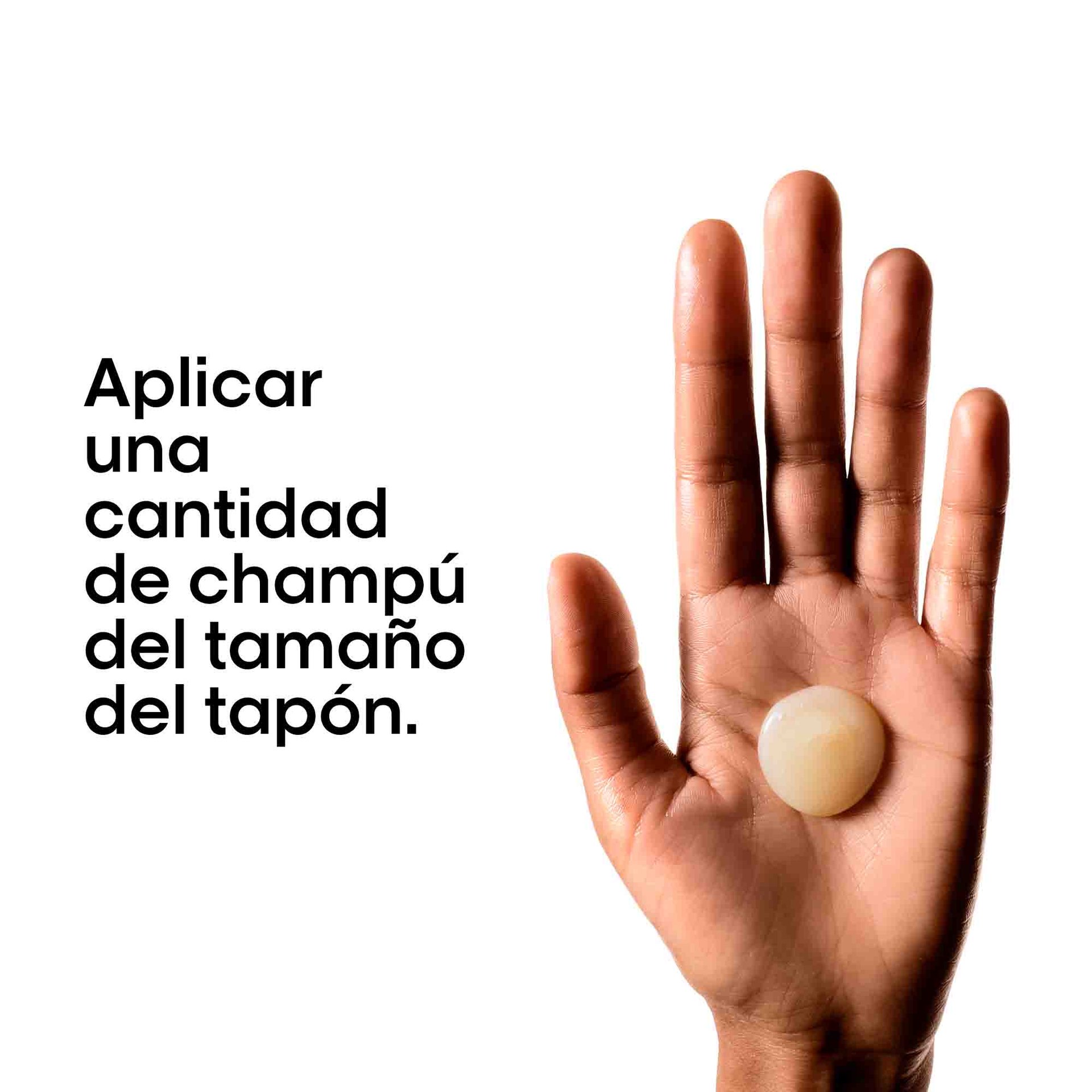 Champú Absolut Repair