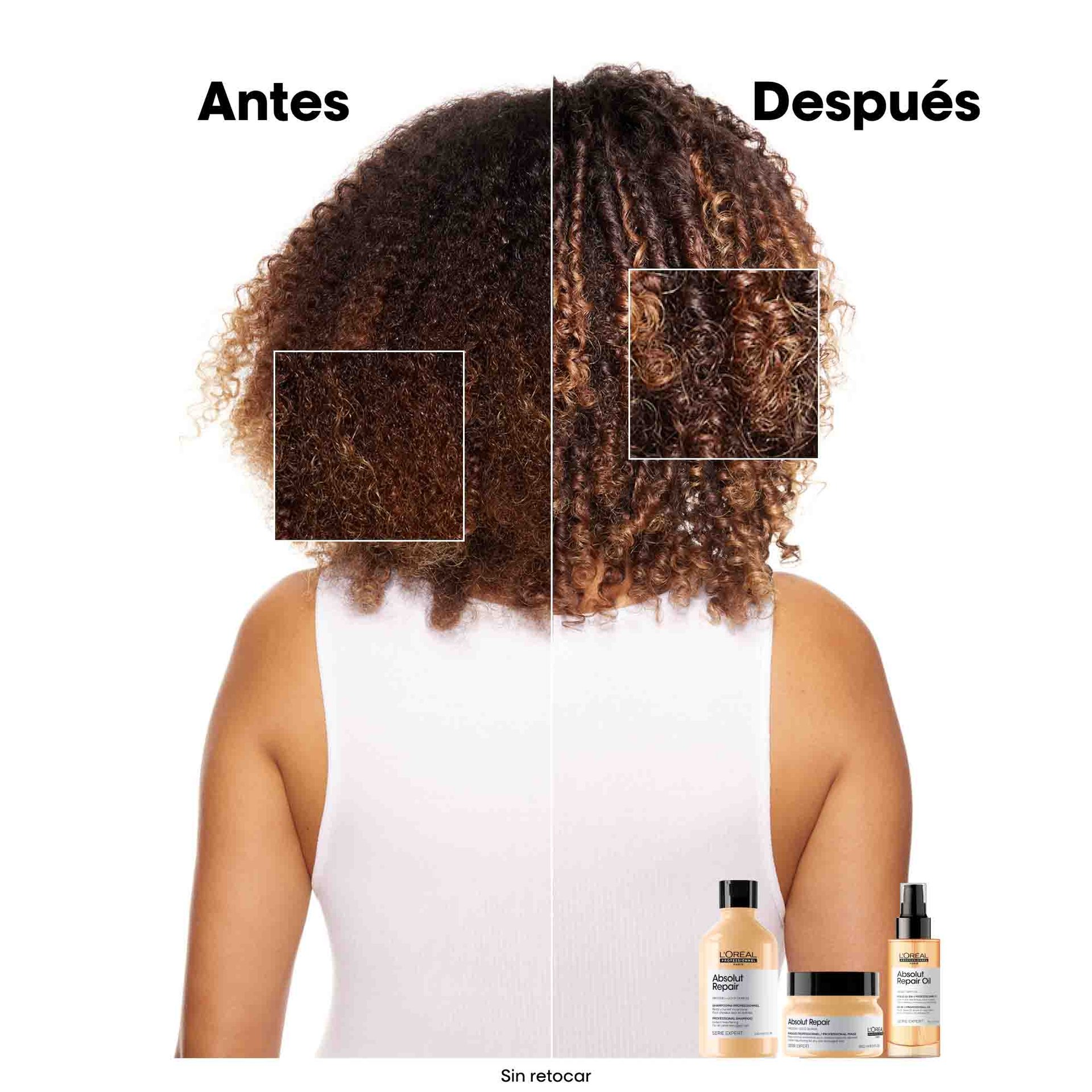Mascarilla Absolut Repair