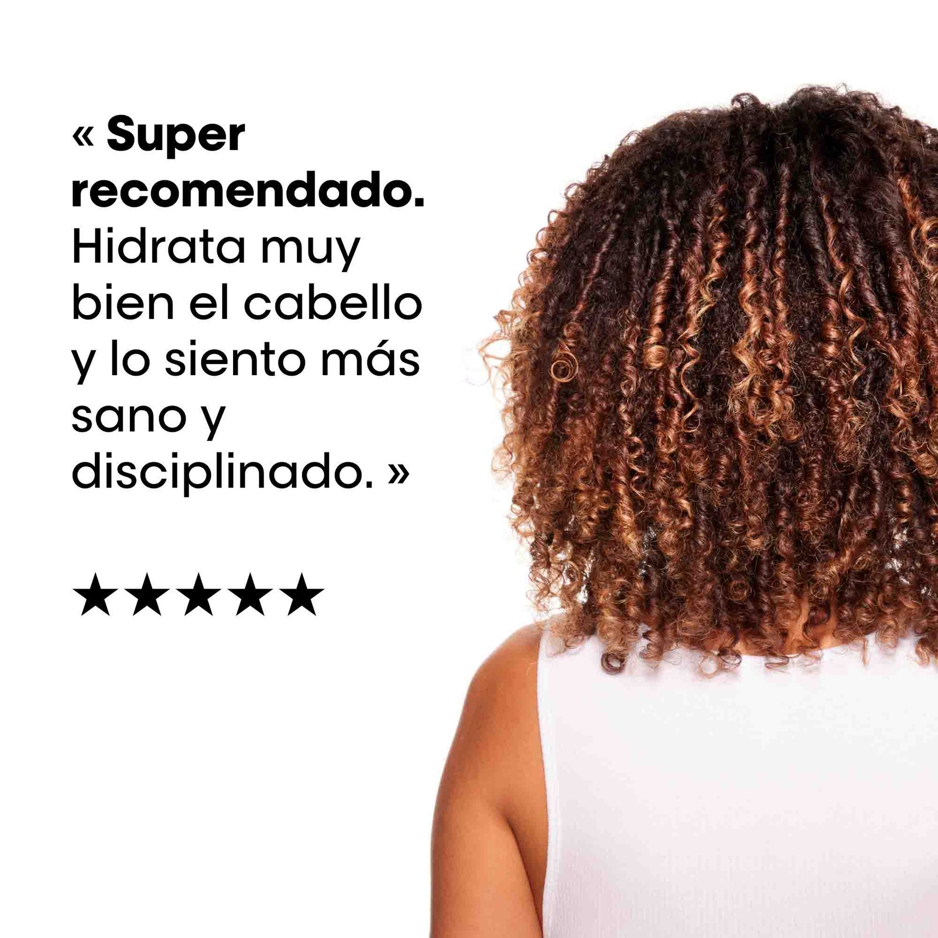 Mascarilla Absolut Repair