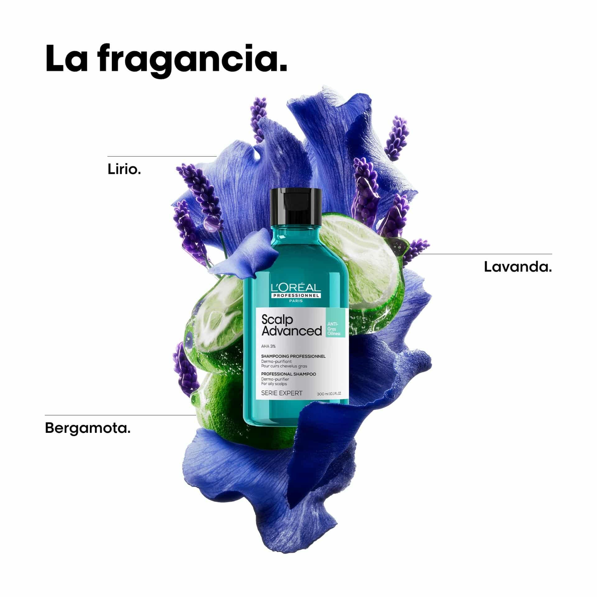 Champú Scalp Anti Grasa 300 ml