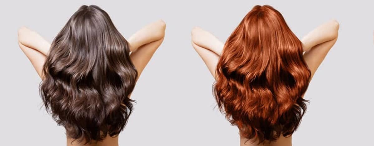 imagen de mujeres con colores de cabello castaños