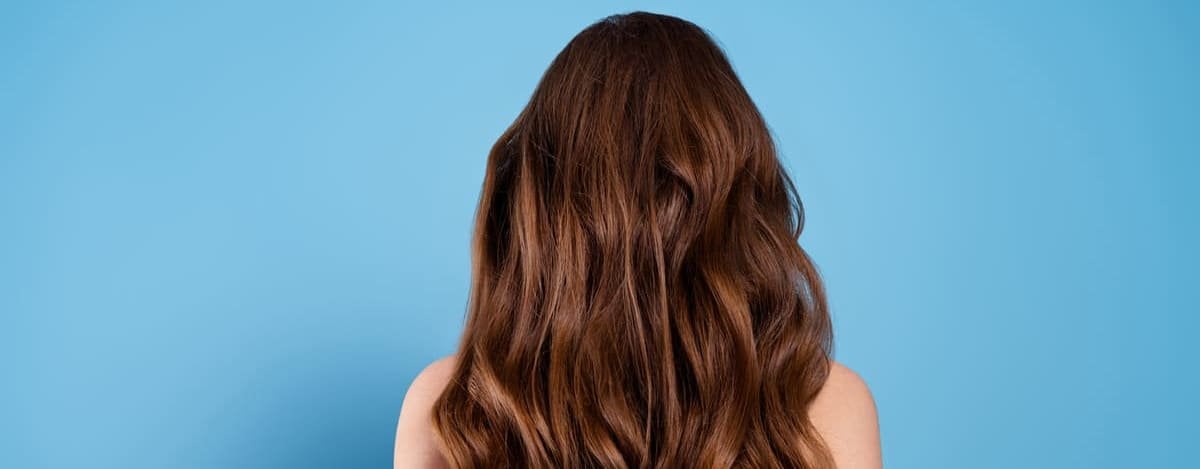 mechas-teddy-bear-1200
