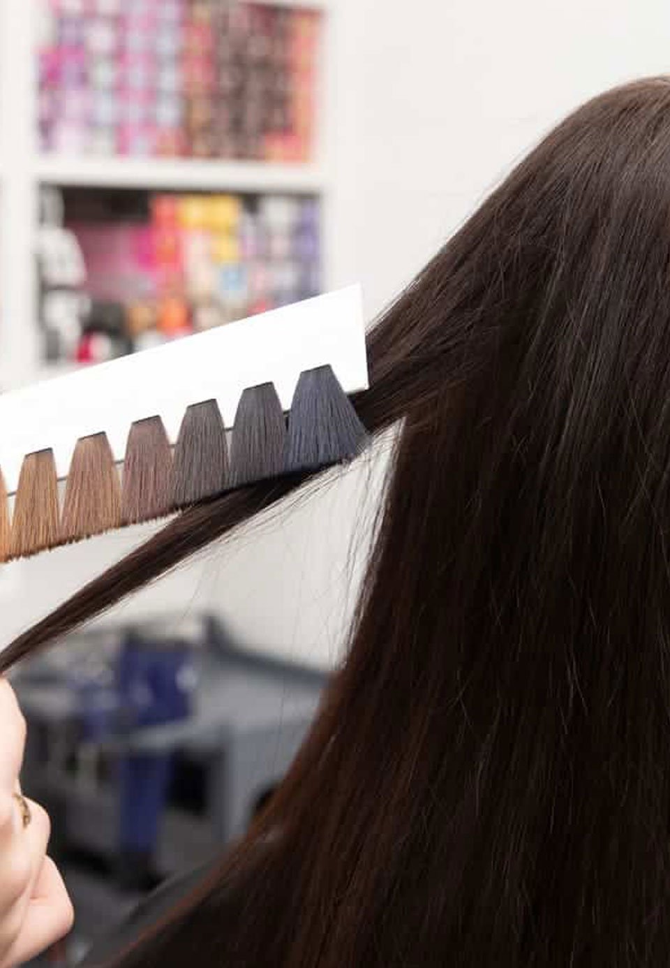 colorimetria-pelo-bloque