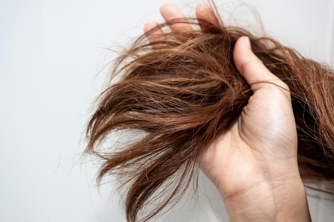 que es el pelo en pausa