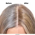 French Blending Servicio