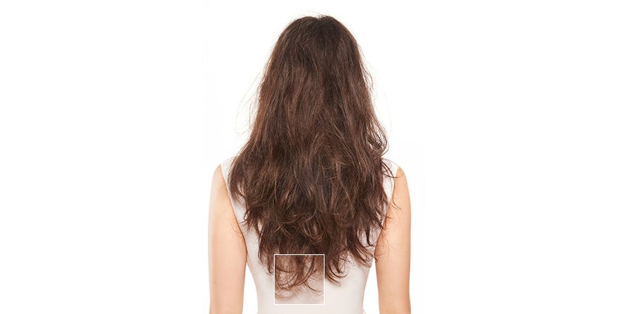Antes y después de tratar las puntas abiertas de una mujer con cabello largo y castaño, se aprecian puntas visiblemente más suaves y saludables tras un cuidado específico.