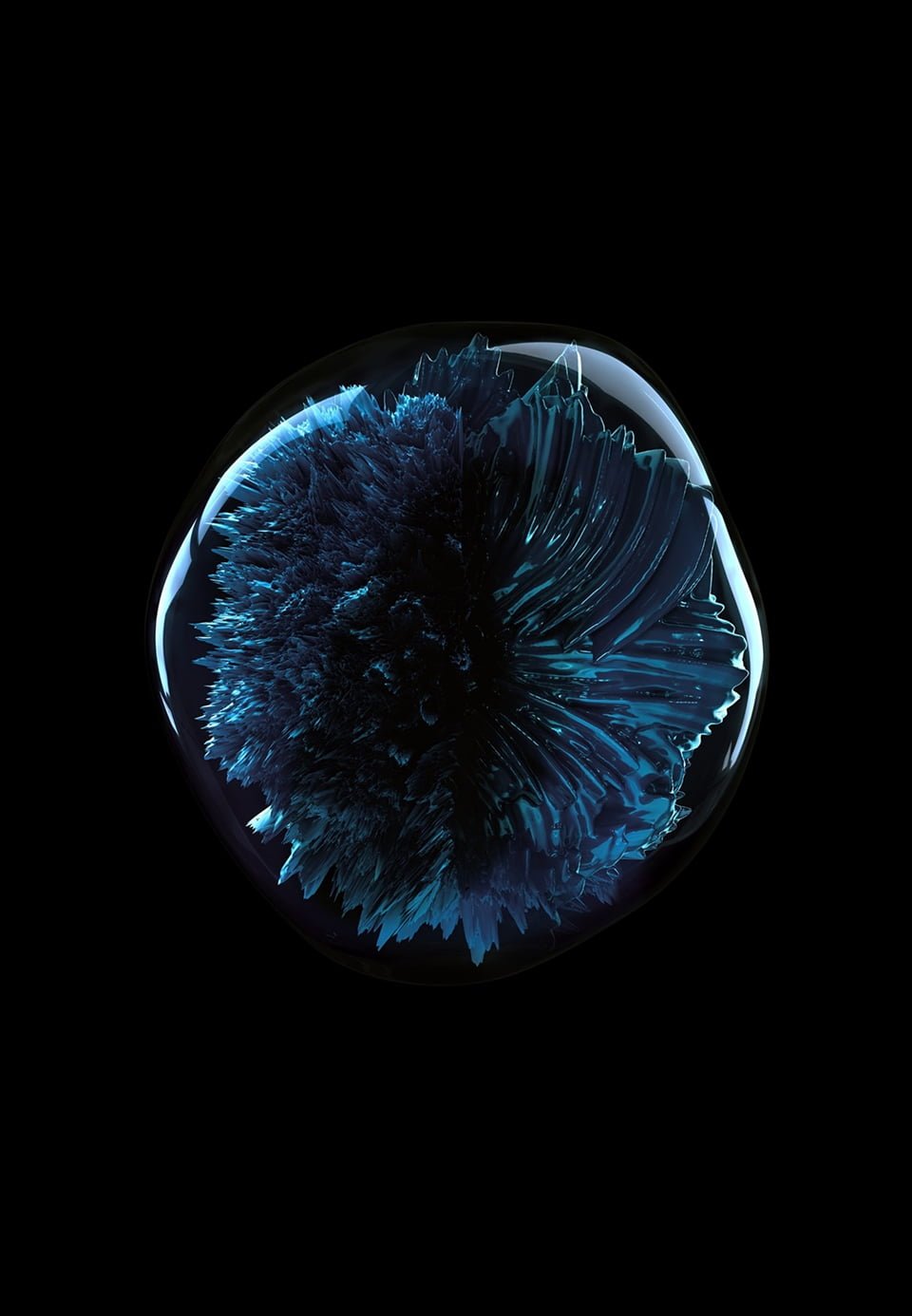 slider-terms-of-use-5